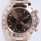 ROLEX NEW 2026 EVEROSE GOLD DAYTONA CHOCOLATE DIAL 126505 BOX PAPERS